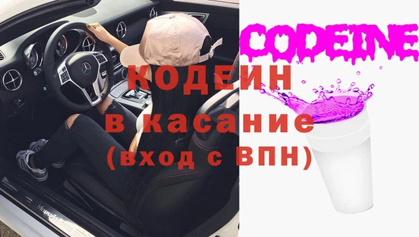 хмурый Белокуриха